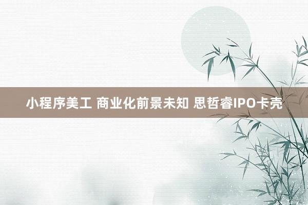 小程序美工 商业化前景未知 思哲睿IPO卡壳