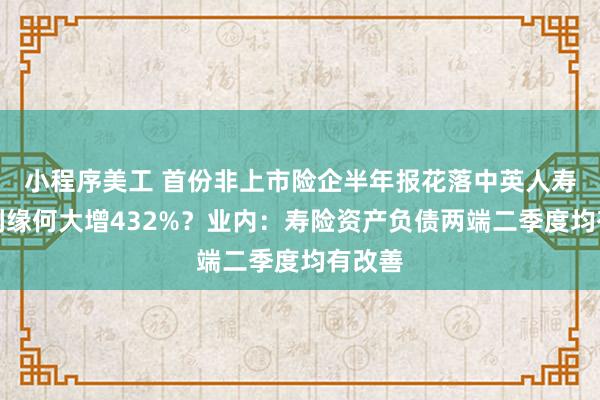 小程序美工 首份非上市险企半年报花落中英人寿，净利缘何大增432%？业内：寿险资产负债两端二季度均有改善