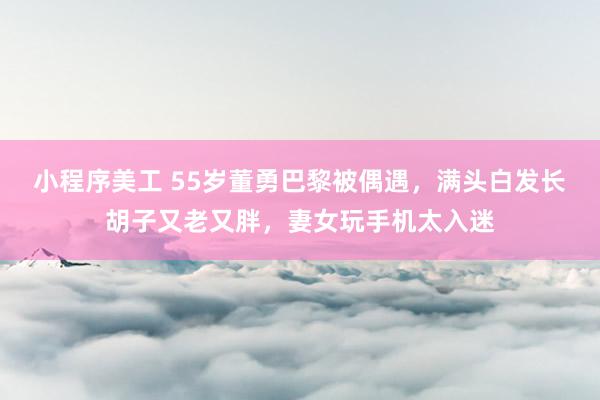 小程序美工 55岁董勇巴黎被偶遇，满头白发长胡子又老又胖，妻女玩手机太入迷