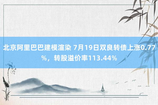 北京阿里巴巴建模渲染 7月19日双良转债上涨0.77%，转股溢价率113.44%